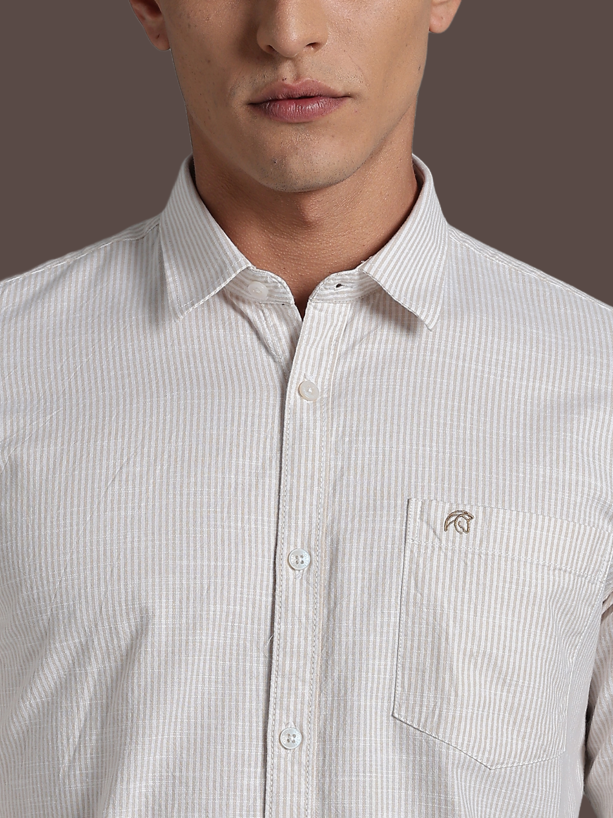 CALVIN Light Brown stripe Oxford Cotton Shirt